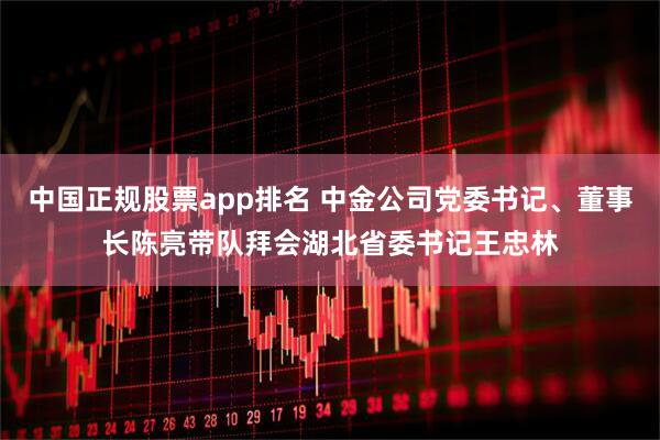 中国正规股票app排名 中金公司党委书记、董事长陈亮带队拜会湖北省委书记王忠林